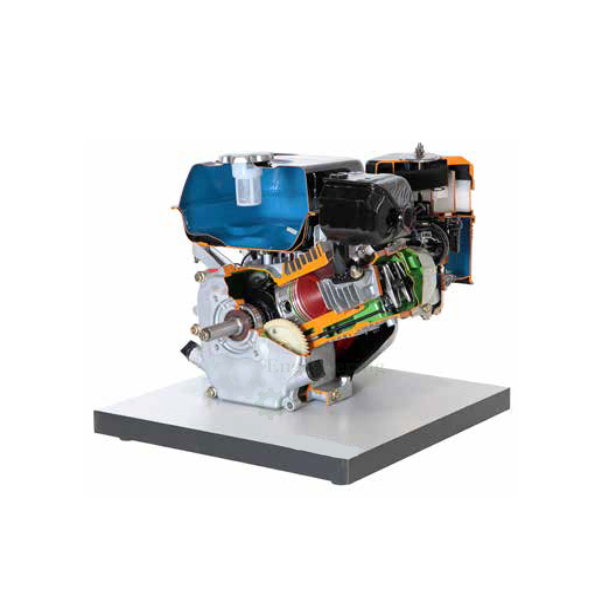 Cut Model of Single Cylinder Four Stroke Petrol Engine
